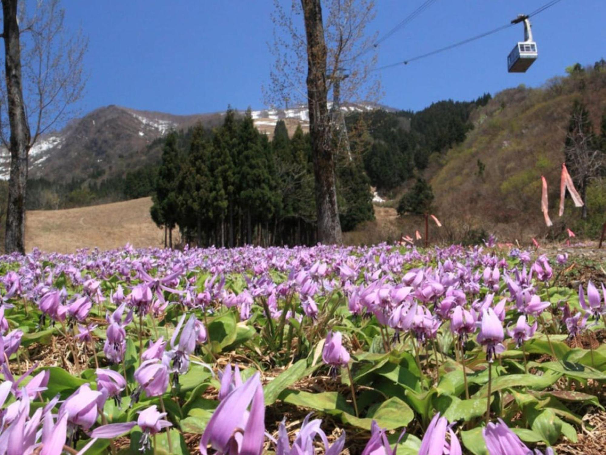 Pension Come Healing Tatami-Room- Vacation Stay 14980 Minamiuonuma Luaran gambar